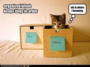 funny-pictures-kitten-is-organized1